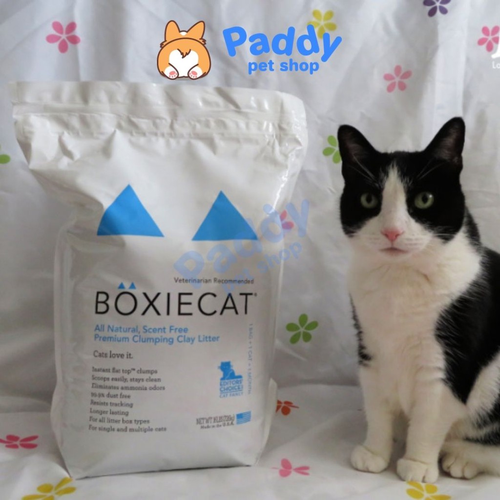 Cát Vệ Sinh BoxieCat USA Sỏi Mịn Tự Nhiên Siêu Khử Mùi Cho Mèo [16L]