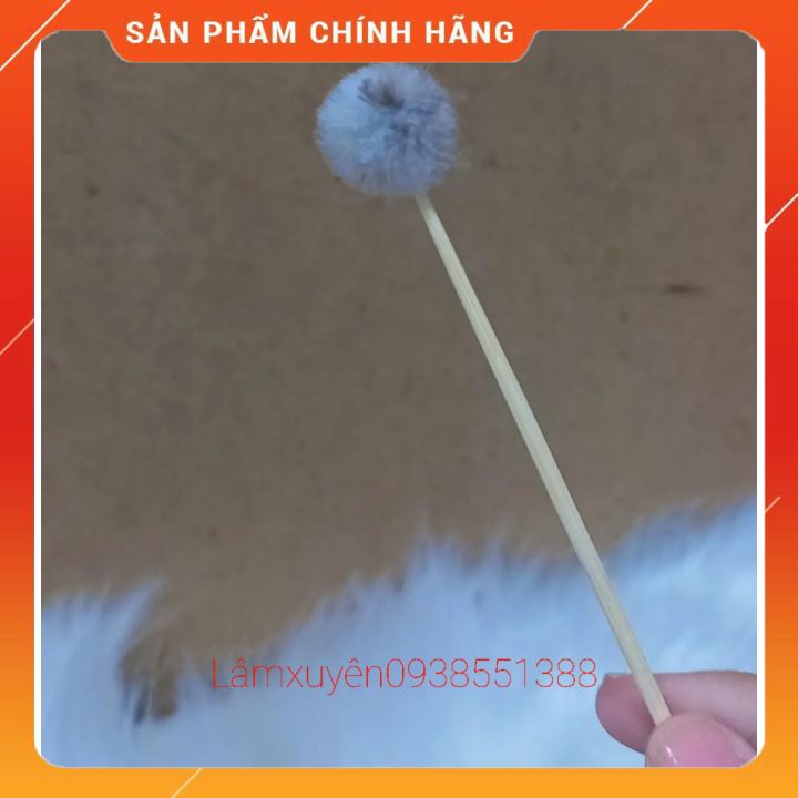 Bông se tai lông vịt XIÊM không xù lông_ không tẩy trắng nhỏ gọn,tiện dụng,an toàn,cây gỗ nhỏ,lông vịt mềm mịn