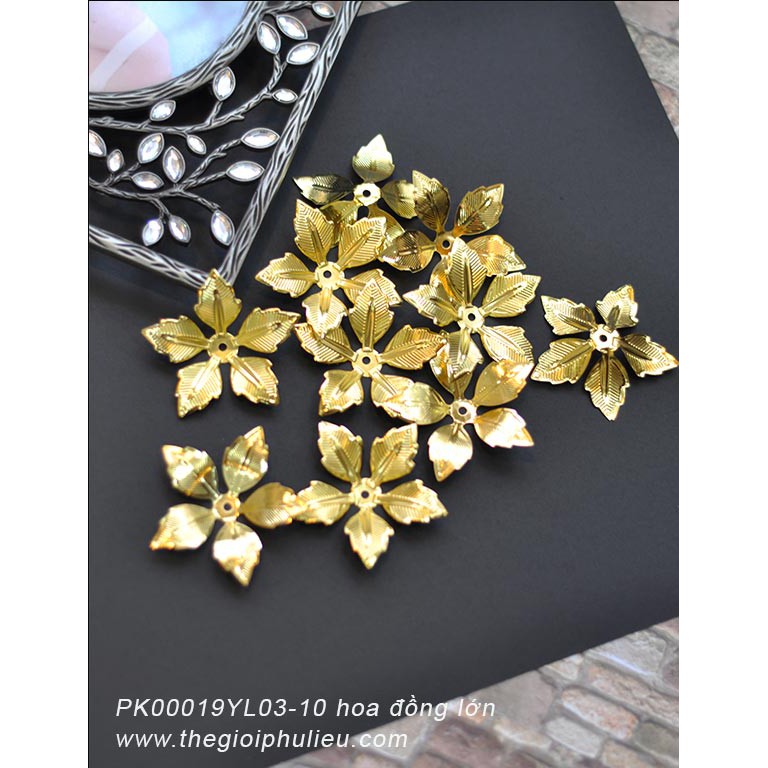 PK00019YL03-10 hoa đồng lớn.
