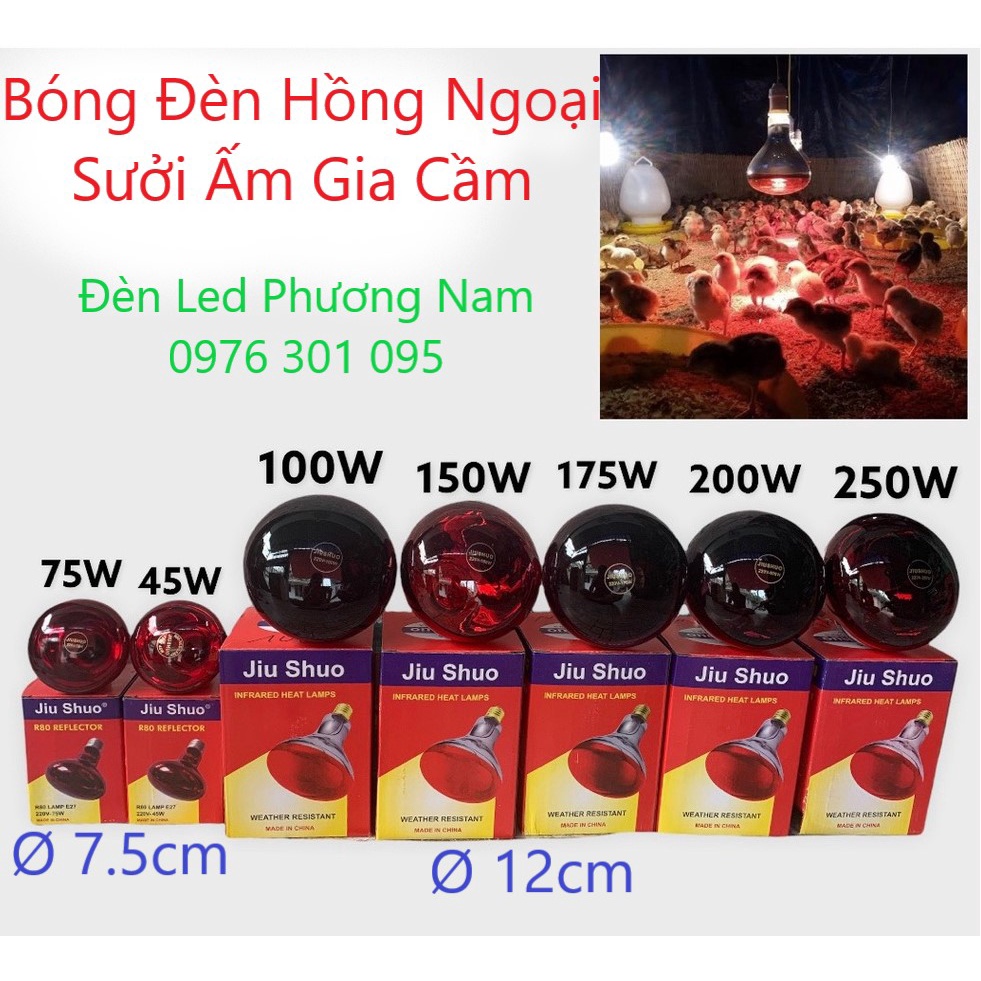 Bóng Đèn Hồng Ngoại Úm, Sưởi Gia Súc Gia Cầm