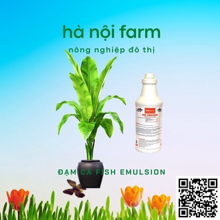 Phân bón hữu cơ fish emulsion - Đạm cá phú hảo chai 250ml