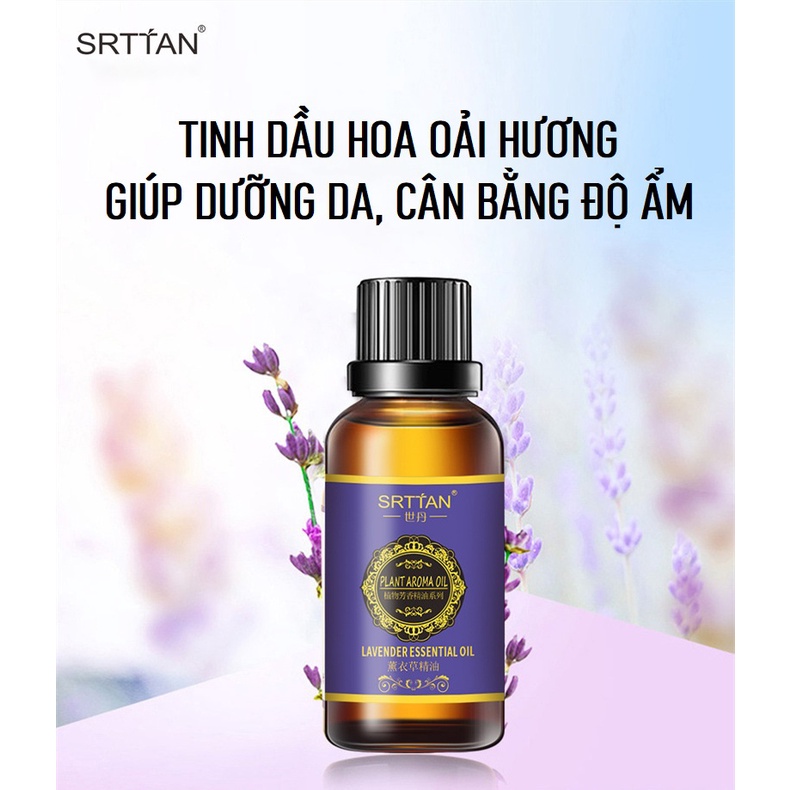 Tinh dầu oải hương, tinh dầu oải hương thơm phòng, tinh dầu oải hương giúp dễ ngủ