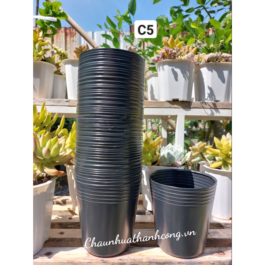 Chậu nhựa đen trồng cây, ươm hạt giống C5 (10,3cm x 10,3cm) loại dày, nhựa dẻo