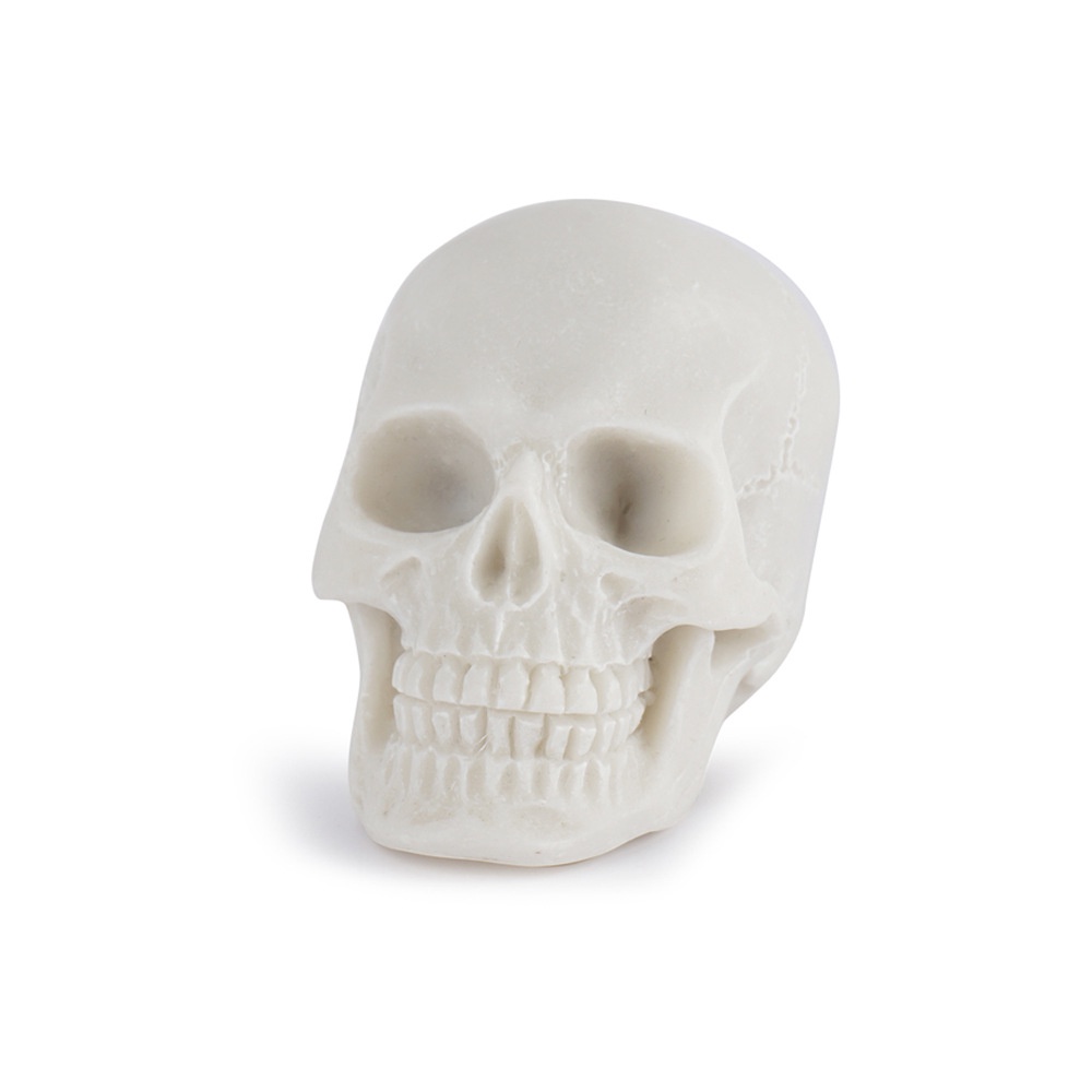 Mô HìNh ĐầU Lâu Trang Trí Bể Cá