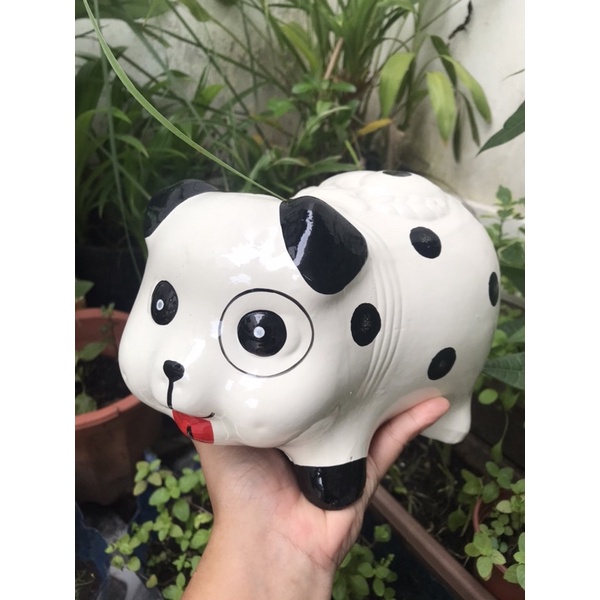 Heo đất chó đóm trắng L
