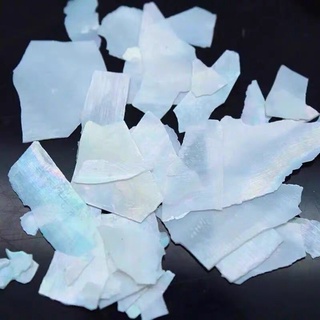 set xà cừ trắng trang trí móng xinh (19k/hủ)