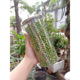 ĐẬU HÀ LAN TỎI ỚT