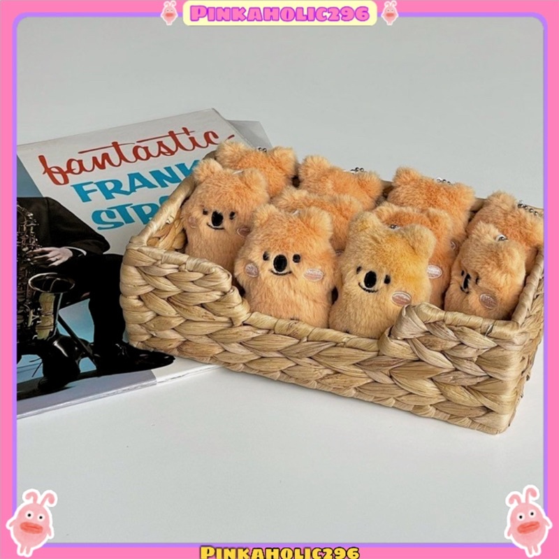 CÓ SẴN - KOALA BÔNG XÙ TÍ HON 5x10CM