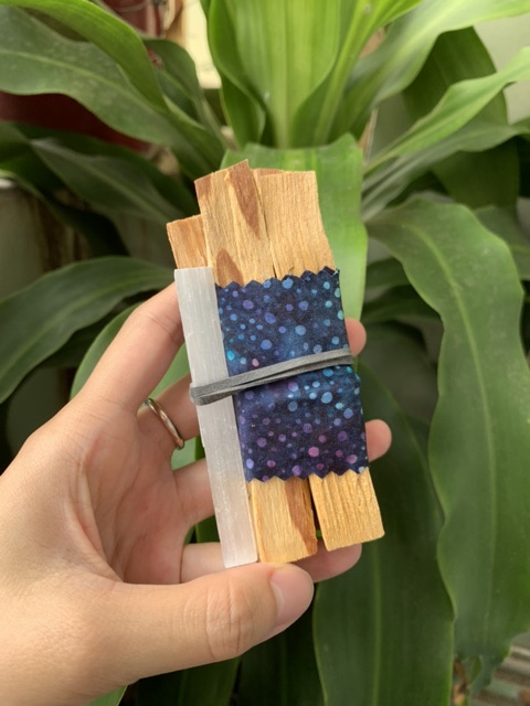 Palo Santo - Gỗ trắc xanh thanh tẩy Peru - Wild harvested palo santo 4 inch stick