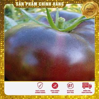 Hạt Giống Cà Chua Socola F1(10 hạt)