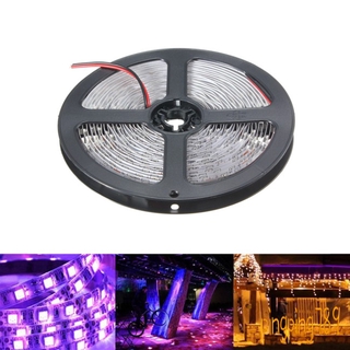 Cuộn dây đèn led uv 12v 5m 390-400nm