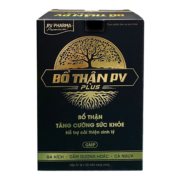[Chính Hãng] Bổ thận PV - Hỗ trợ điều trị yếu sinh lý, tiểu đêm nhiều và chứng thận âm hư (Hộp 30 viên)