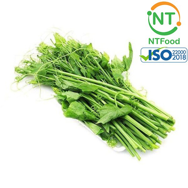 [HCM] Đọt su Đà Lạt NTFood 1kg / 500gr tùy chọn - Nhất Tín Food