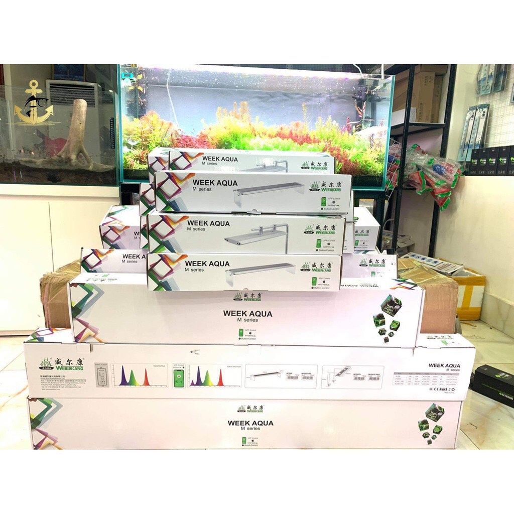 Đèn Week Raptor Pro  LED RGB-UV chỉnh APP- Hạn chế rêu hại, đánh màu cây và cá cực đẹp cho hồ thuỳ sinh