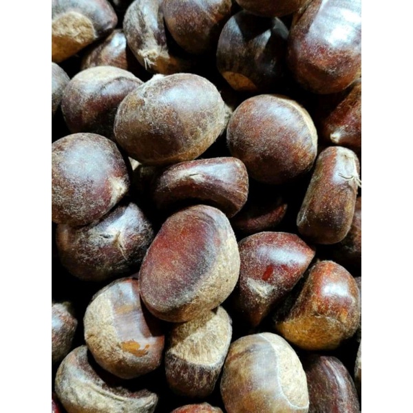 HẠT DẺ T.Ư.Ơ.I