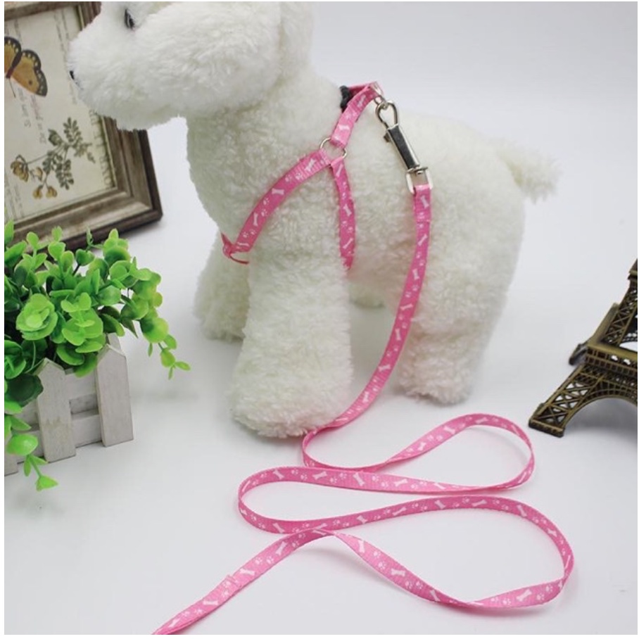 Dây xích đeo ngực cho chó mèo thú cưng chống trầy cổ - Dây dắt kèm yếm dành cho chó mèo màu ngẫu nhiên