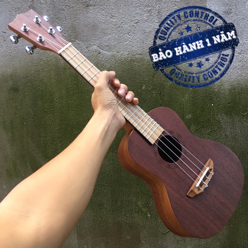 Đàn Ukulele gỗ gụ Cao cấp | Size concert 23'.