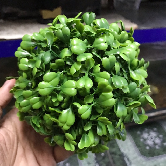 RONG GIẢ TRANG TRÍ HỒ CÁ NON BỘ ĐƯỜNG KÍNH 13CM CAO 12CM