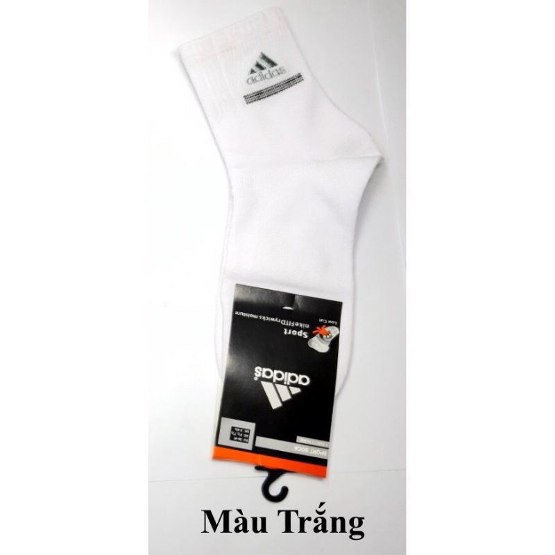 Tất / vớ cổ lở thể thao cotton nam / nữ thêu nhãn Adidas hoặc Nike