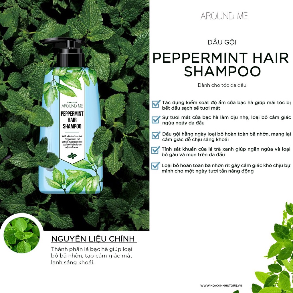 Combo Dầu Gội Và Dầu Xả Sạch Gàu Cho Tóc Dầu Around Me Peppermint Hair Shampoo Hương Bạc Hà 500ml/chai