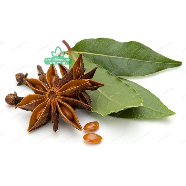 1kg Lá Nguyệt Quế (Bay Leaves)