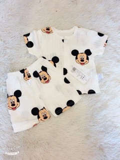 combo 5 bộ coton giấy