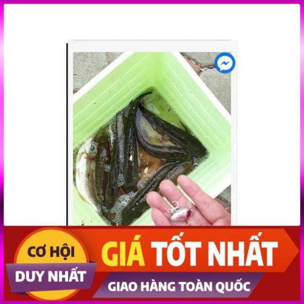 [Xả Kho 3 Ngày]  Mồi ruồi câu cá chuyên các loại cá rô phi, rô ta, chuối, lóc, sộp, thiểu - ĐỒ CÂU PHÍA BẮC - S1