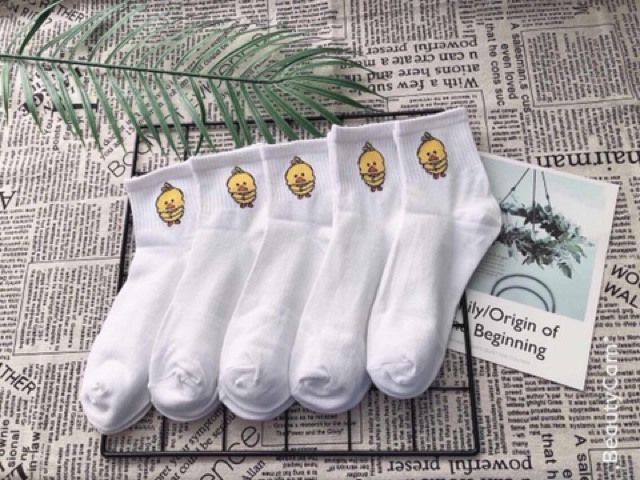 Tất vịt cổ cao (3 màu)