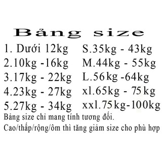 Đầm công chúa