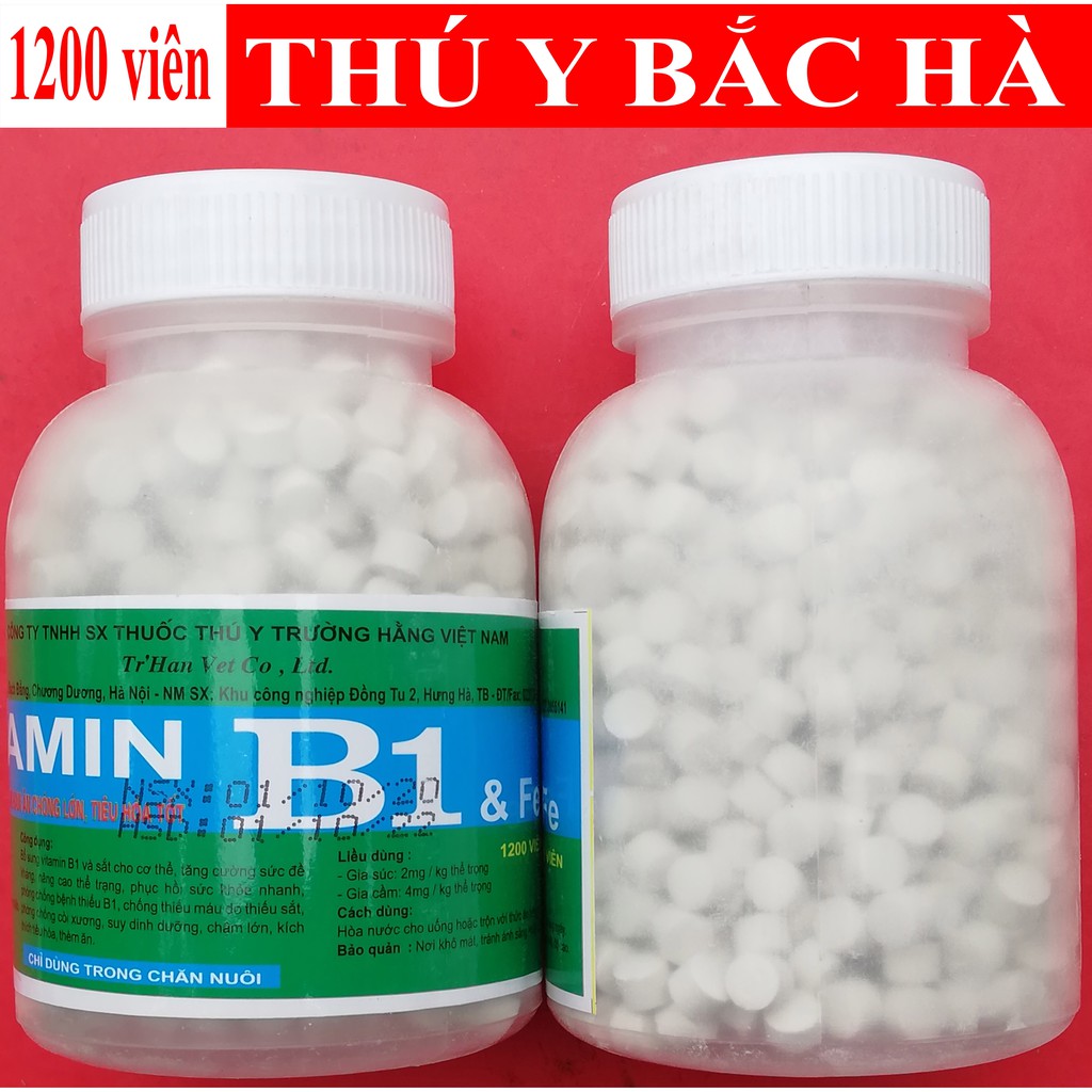 1 lọ VITAMIN B1 200g KÍCH THÍCH GIA SÚC, GIA CẦM, CHÓ MÈO HAM ĂN CHÓNG LỚN, TIÊU HÓA TỐT. Có thể dùng bón cho hoa lan