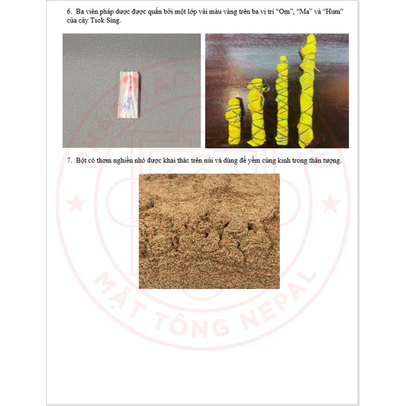 Bộ yểm tượng Tu viện Shechen Nepal