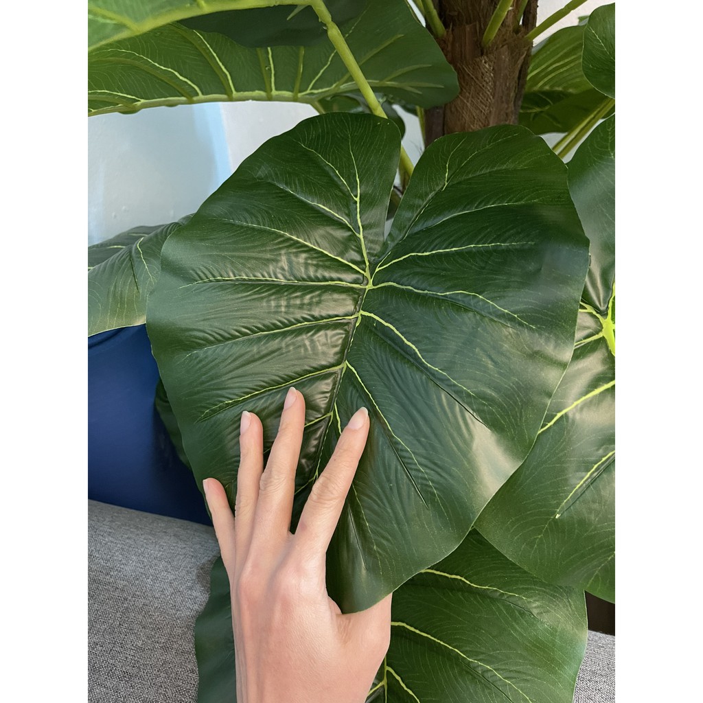 Cây trầu bà leo cột cao 1M6 - 63 lá, Cây giả decor