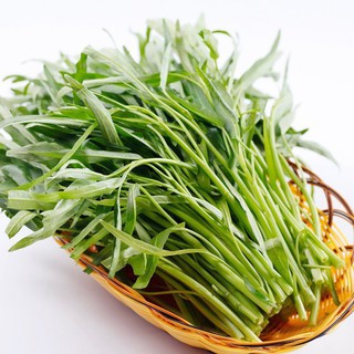 30 gr hạt giống rau muống lá tre