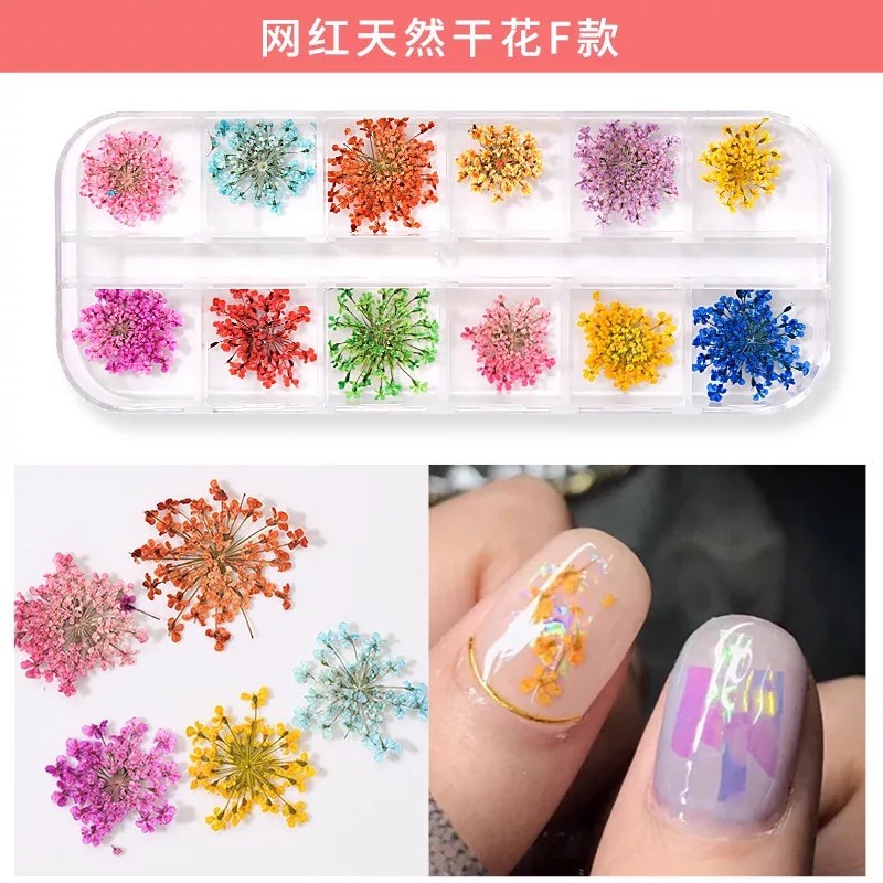 Set 12 mẫu hoa khô trang trí móng nail nghệ thuật