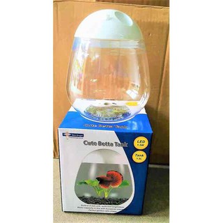 Hồ Cá Betta Mini hình quả trứng