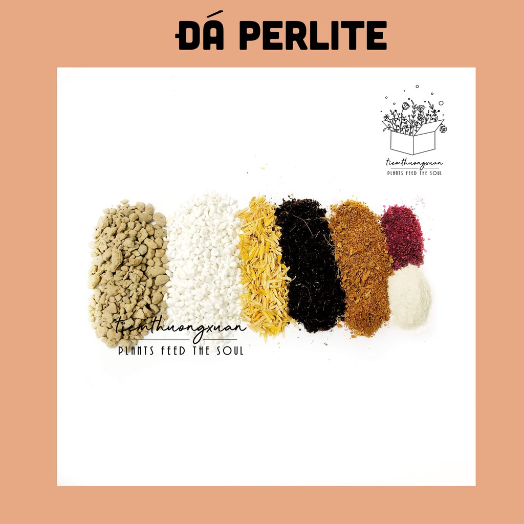 Đá Perlite (100 gram) - Sen đá, xương rồng - Giá thể thoát nước