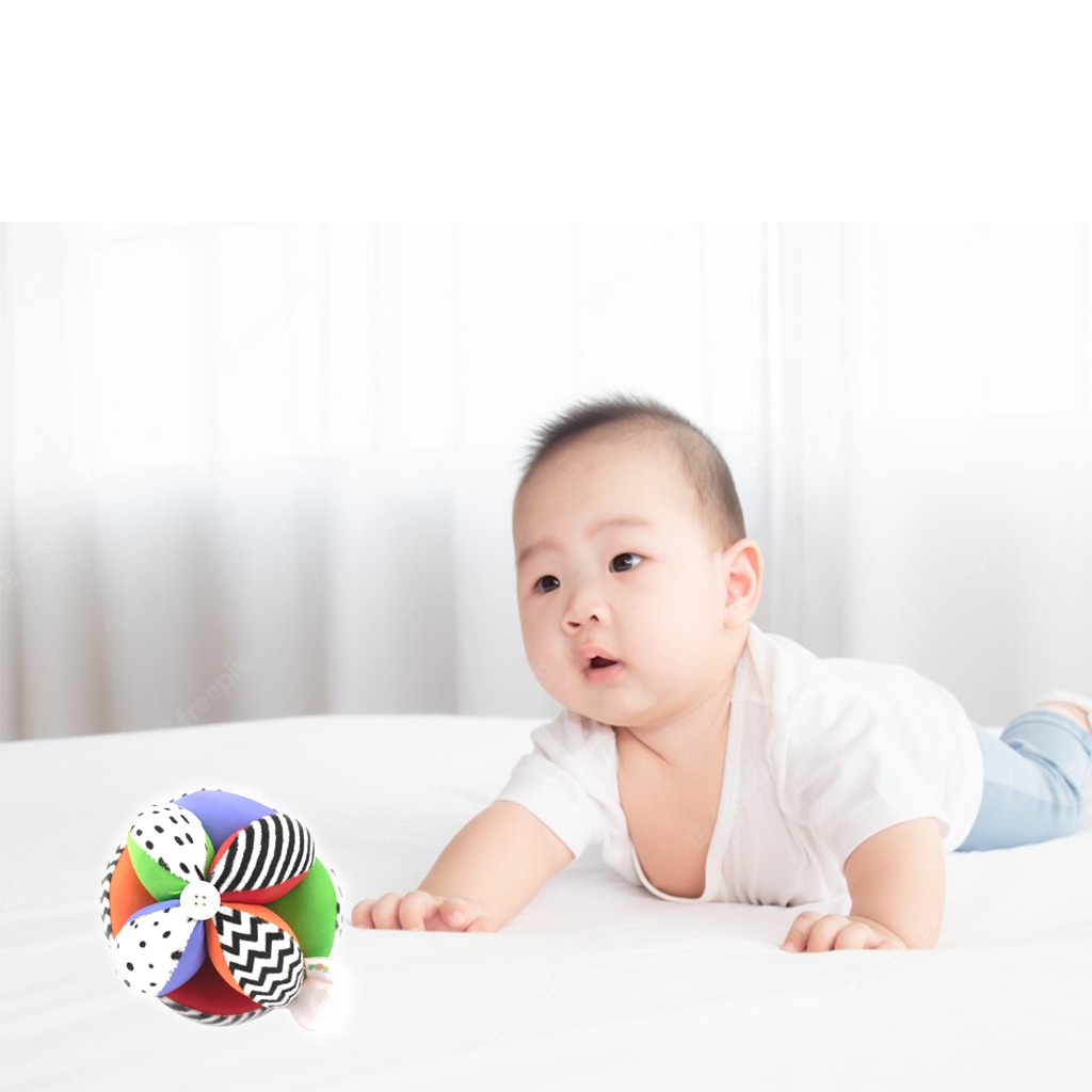 Bóng múi luyện chân PiPoVietnam Montessori Colorful an toàn cho bé