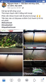 Phân nền Anubias soi Oliver Knott 3L