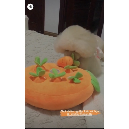 [ Hot ] Vườn cà rốt đồ chơi 12 củ