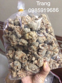 Củ tam thất bắc Lào Cai 