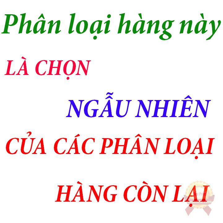 Combo 20 cái Lì xì Tết Nguyên Đán 2021