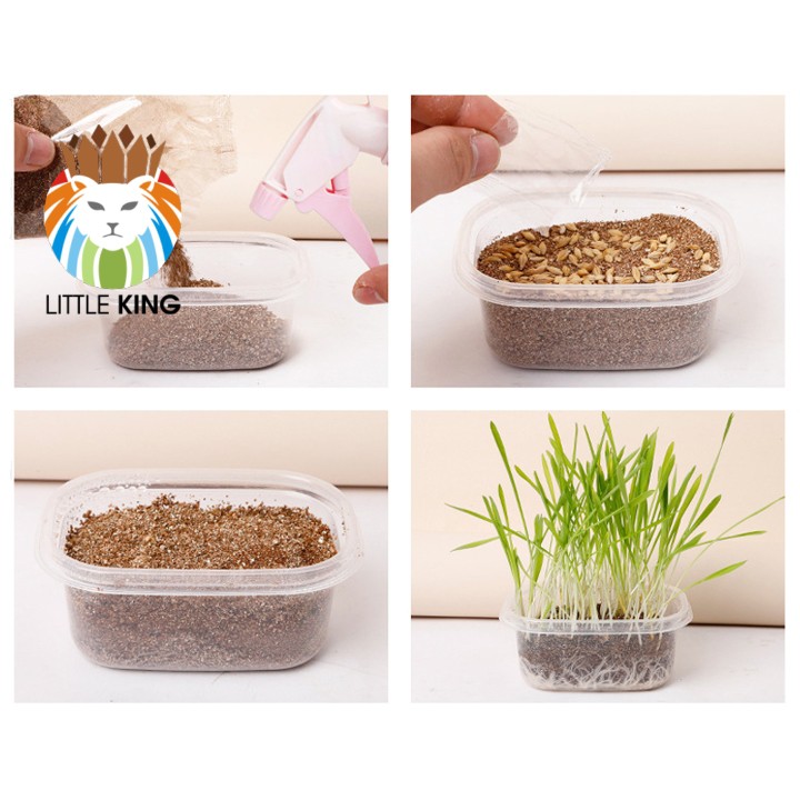 Set hộp hạt giống cỏ mèo và đất trồng giúp bổ xung chất xơ, tiêu búi lông cho mèo Little King pet shop