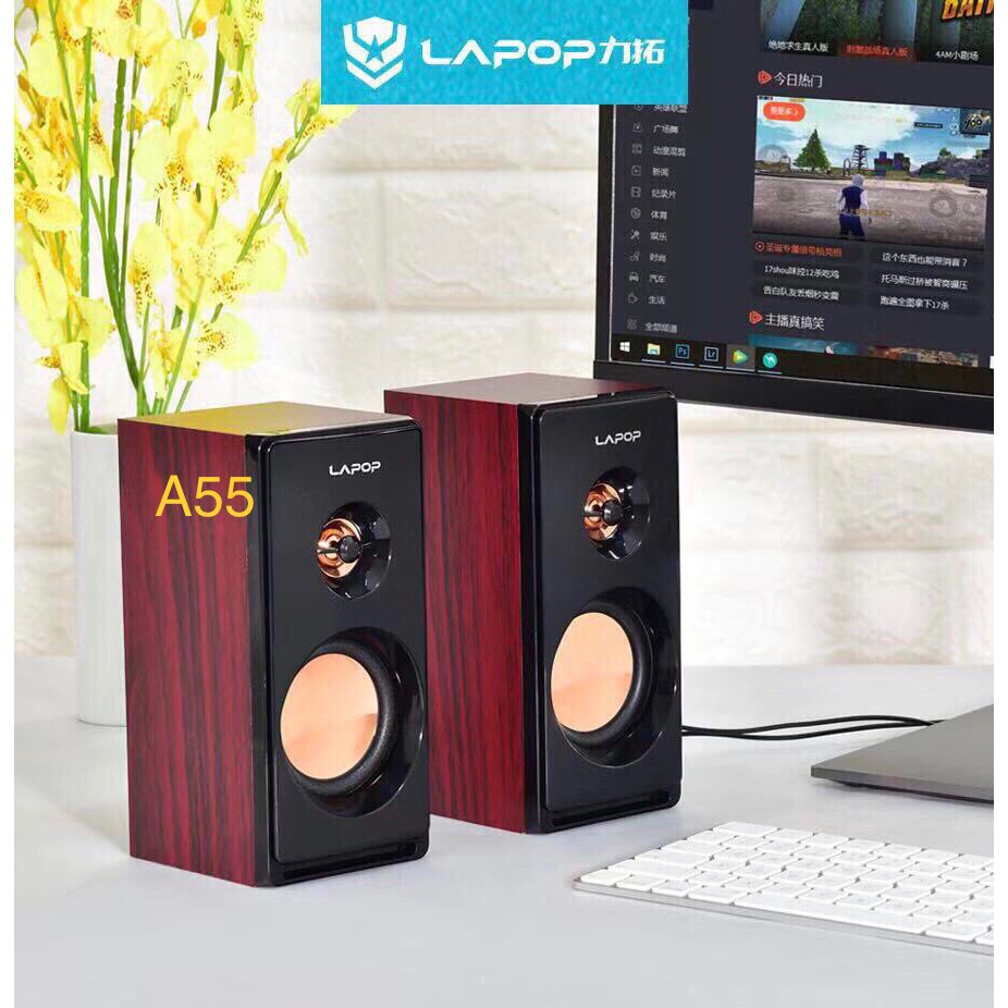 Bộ Loa Vi Tính PC Đôi 2.0 LAPOP A55