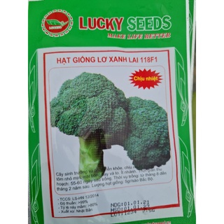 Hạt giống suplo xanh chịu nhiệt