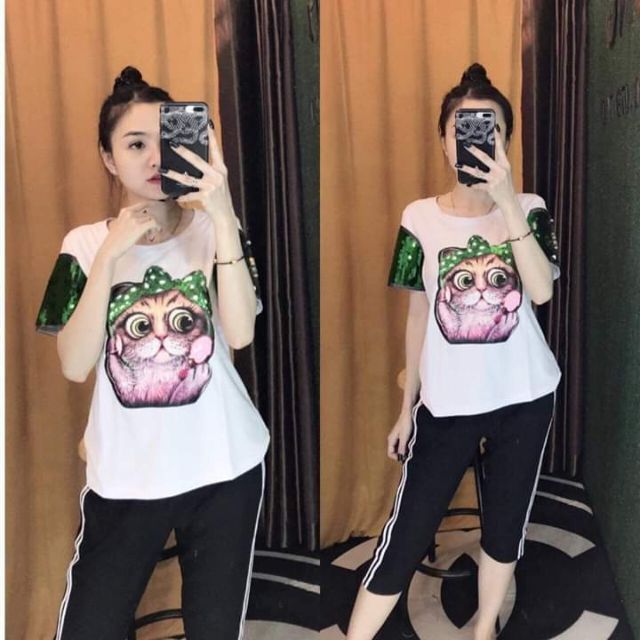Bộ 3D Mèo pha kim sa