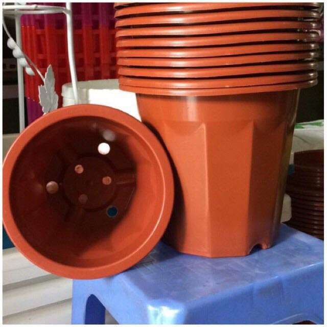 Chậu nhựa trồng cây, chậu ươm cây màu nâu E280, E300, E320, E350- hàng công ty dày đẹp KT 23x20cm.