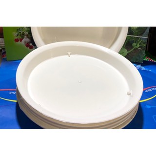 Đĩa tròn lót chậu đường kính cả đĩa 20 cm, lòng đĩa 17 cm