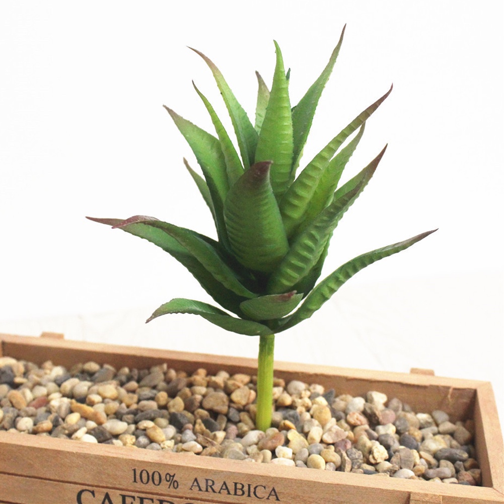 Cây mọng nước giả trang trí nhà cửa/ quán cafe DIY