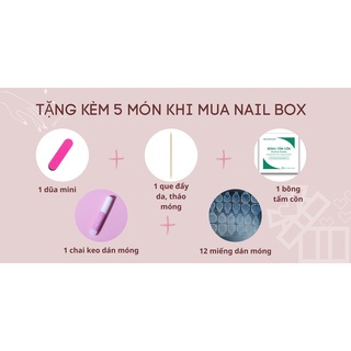 Nail box móng úp thiết kế lửa caro mắt mèo
