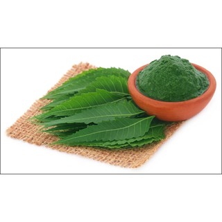 đắp mặt nạ bột lá nem sạch da mụn khô nhân mụn.